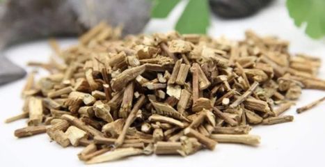 中藥飲片探微 化濕良藥霍香的身世之謎