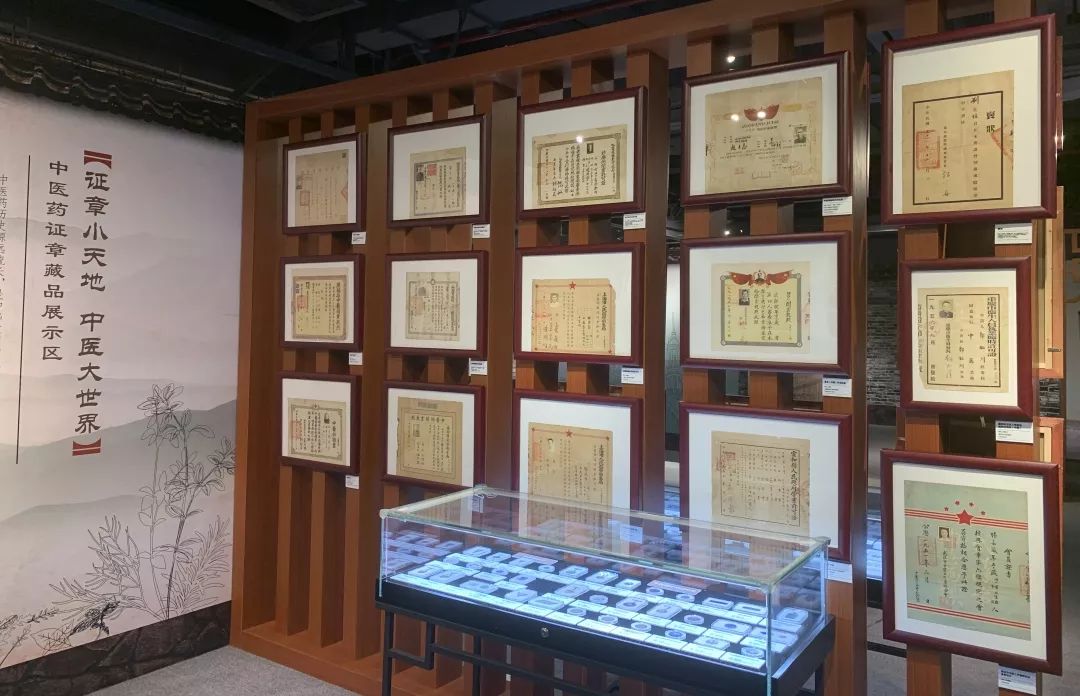 黃浦區中醫藥文化主題展在大世界開幕，中藥飲片展現傳統醫學魅力